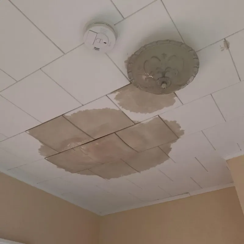 Ceiling Water Damage Repair in Tilton-Northfield, NH