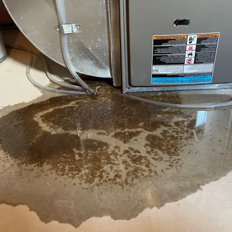 Pipe Burst and Leak Restoration in Tilton-Northfield, NH