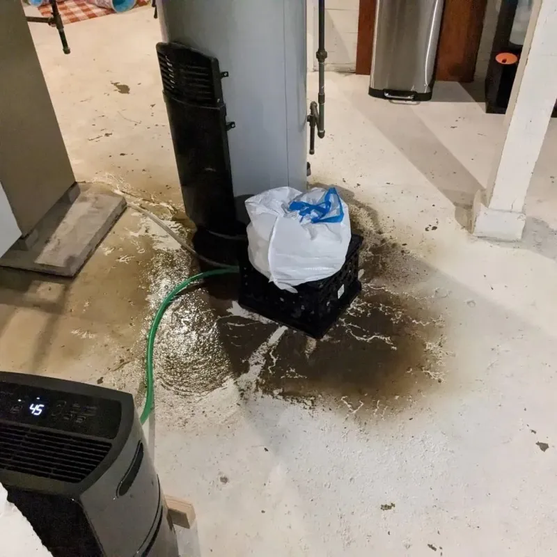 Sewage Backup Cleanup Service in Tilton-Northfield, NH